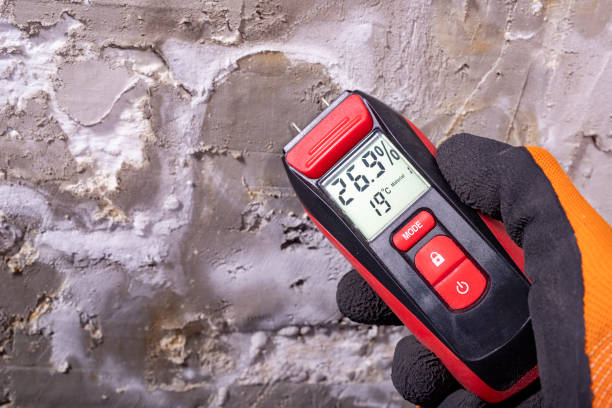 Mold Removal and Inspection in Turtle Creek, PA